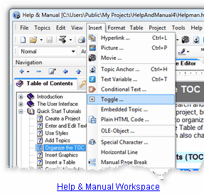 Workspace of Help & Manual - Click on the image to see the full size screen shot